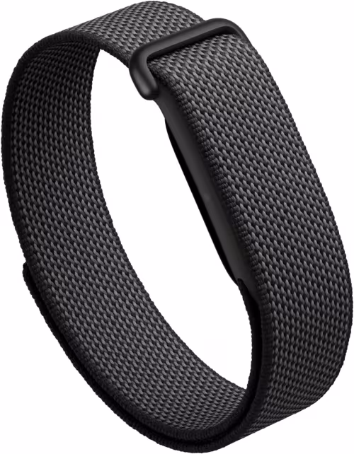 Fitbit Google Air