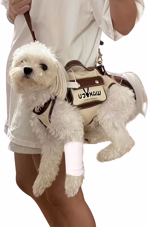  Transportador de Perros